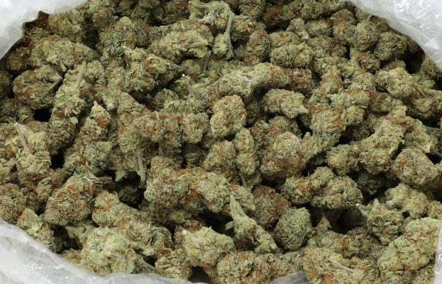 Amarelo Winter Lights